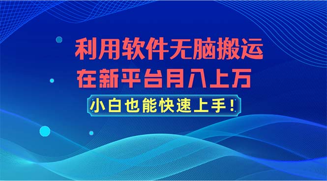 （11078期）利用软件无脑搬运，在新平台月入上万，小白也能快速上手-创大侠