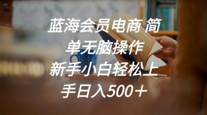 （11068期）蓝海会员电商 简单无脑操作 新手小白轻松上手日入500＋-创大侠