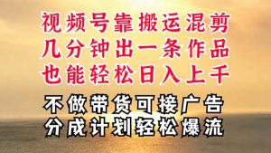 （11087期）深层揭秘视频号项目，是如何靠搬运混剪做到日入过千上万的，带你轻松爆…-创大侠