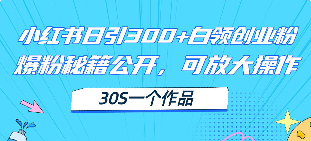 （11692期）小红书日引300+高质白领创业粉，可放大操作，爆粉秘籍！30s一个作品-创大侠