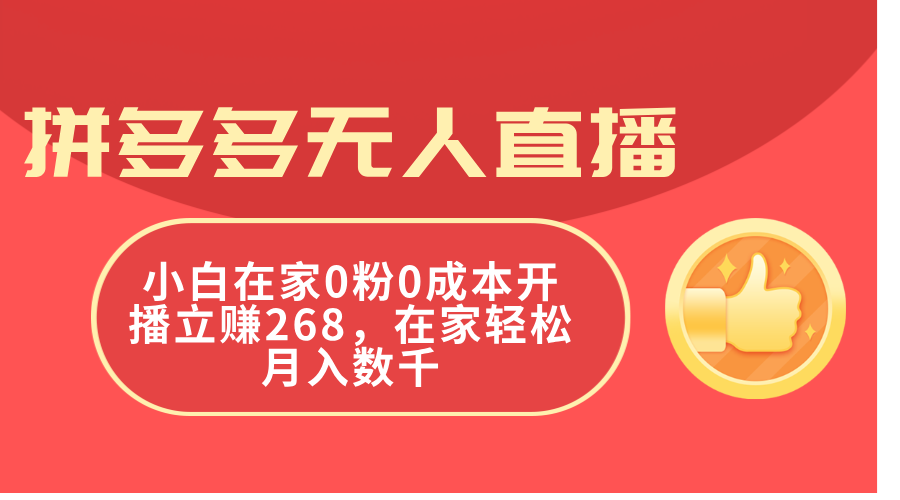 （11521期）拼多多无人直播，小白在家0粉0成本开播立赚268，在家轻松月入数千-创大侠
