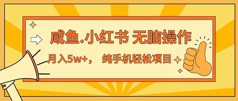 （11524期）2024最赚钱的项目，咸鱼，小红书无脑操作，每单利润500+，轻松月入5万+…-创大侠